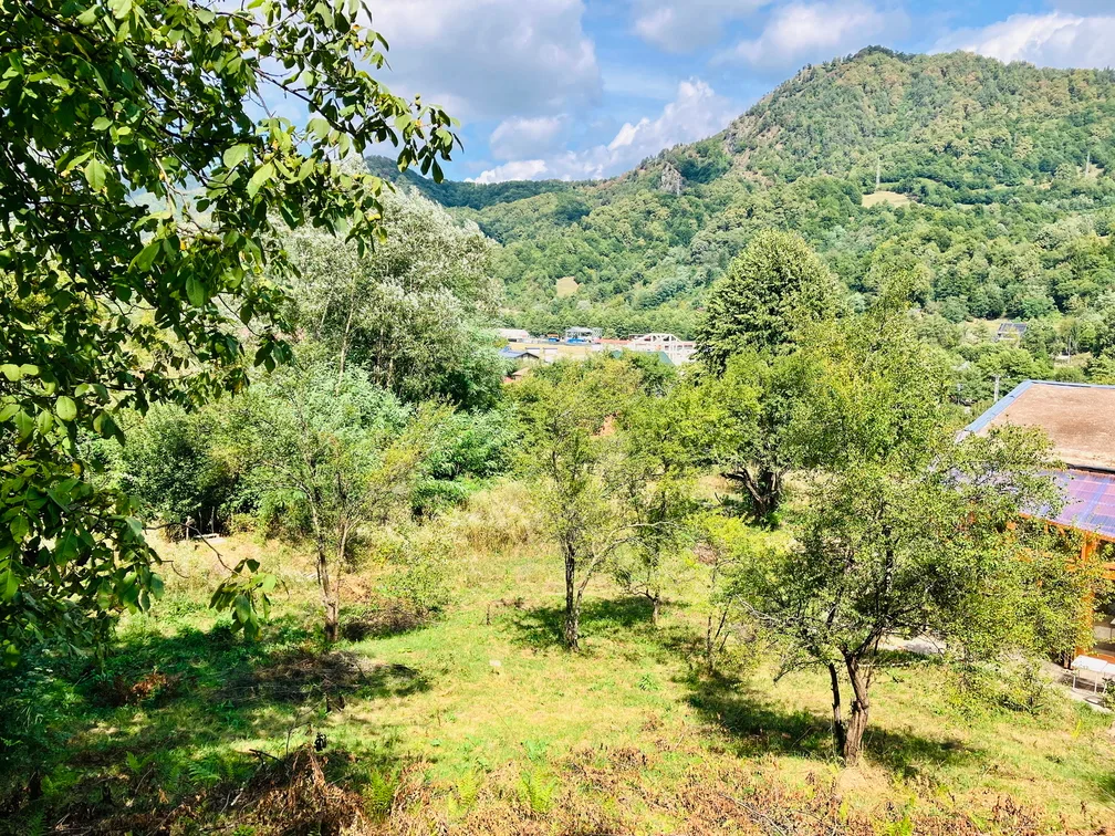 Jardinier·es en résidence #2